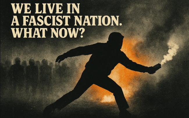 We live in a fascist nation - what now?