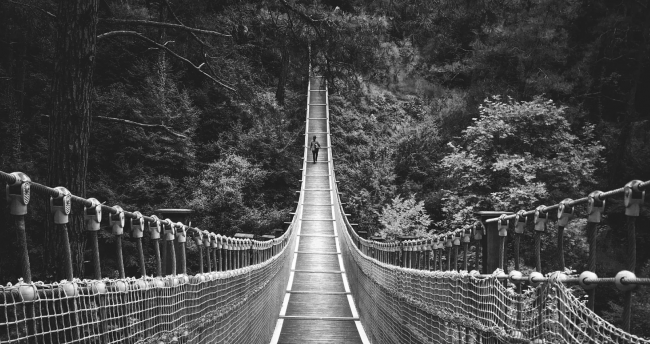 suspension bridge