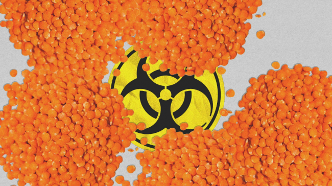 Illustration by National Observer/Ata Ojani