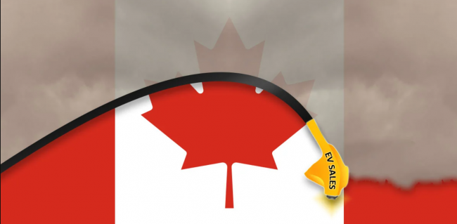 Illustration by Aja Otani