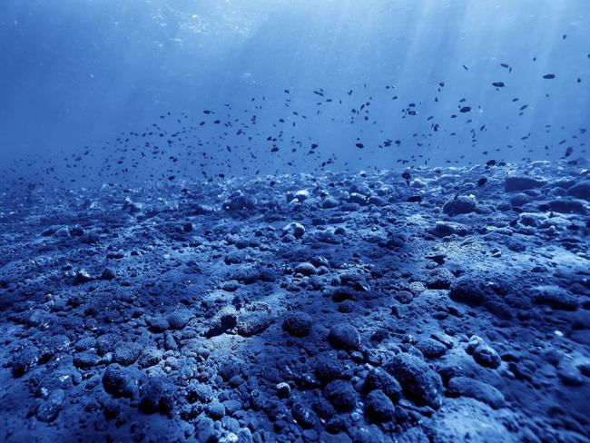 Scientists are concerned about how much damage sediment kicked up by mining equipment will do to seabeds and ecosystems closer to the surface. Photo via Shutterstock.
