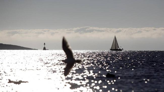 A sailboat passes through the Strait of Juan de Fuca off Victoria. The strait would see a significant increase in oil tankers if Kinder Morgan’s Trans Mountain pipeline expansion is approved. CHAD HIPOLITO/FOR THE GLOBE AND MAIL