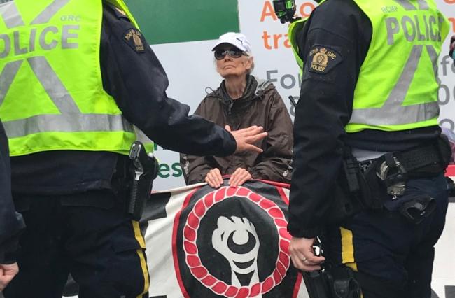 Order of Canada recipient Jean Swanson just before she was arrested at the Burnaby Mountain tank farm owned by Kinder Morgan.  Photograph By TZEPORAH BERMAN/CONTRIBUTED
