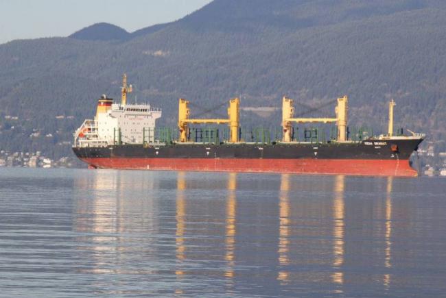 Oil tankers are often seen off the beaches of Spanish Banks, Jericho, Kitsilano, and English Bay. YOLANDE COLE