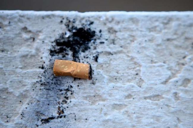 The WHO accused the tobacco industry of various means of environmental damage, from widespread deforestation to spewing out plastic and chemical waste.