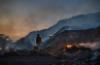 A worker in a coal yard in the Sonbhadra district of Uttar Pradesh, India, 2021. (Ritesh Shukla / Getty Images)