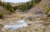A section of the Kiskatinaw River running dry just upstream of the old Highway 97 trestle bridge between Fort St. John and Dawson Creek. Photo for The Tyee by Don Hoffmann.