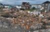 This drone photo shows the extensive damage caused by post-tropical storm Fiona in Port aux Basques, N.L. Fiona is yet another stark reminder of the havoc that awaits the planet and our species, writes Andrew Lodge. (Yan Theoret/CBC News)