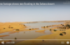 Drone footage shows rare flooding in the Sahara desert