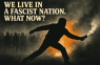 We live in a fascist nation - what now?