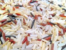 Teaser photo credit:A mixture of brown, white, and red indica rice, also containing wild rice, Zizania species. By Earth100 – Own work, CC BY-SA 3.0, https://commons.wikimedia.org/w/index.php?curid=23632640