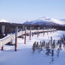 A section of the Trans-Alaska Pipeline System, which spans the state from north to south, near Valdez.BLM Photo/Alamy