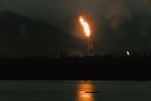 Experts question why the B.C. government isn't doing more to get LNG Canada back in line with permit requirements as flaring issue persists. Photo: Marty Clemens / The Narwhal