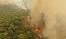 A fire burning in Porto Velho, Brazil, one of the world’s oldest and most diverse tropical ecosystems. Photograph: Michael Dantas/WWF/PA