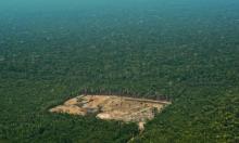 Deforestation in the western Amazon region of Brazil. Photograph: Carl de Souza/AFP/Getty Images