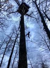 From  https://www.stoptmx.ca/ - climber going up to shelter in the trees