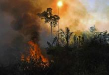 Smoke and flames rise from an illegal fire in the Amazon rainforest reserve, south of Novo Progresso in Para state, Brazil. Photograph: Carl de Souza/AFP/Getty