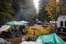 A camp at Fairy Creek in October. Photo: James MacDonald / Capital Daily