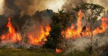 A fire burns trees next to grazing land in the Amazon basin in Ze Doca, Brazil. (Photo: Mario Tama/Getty Images)