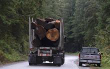 A logging truck driving past the Fairy Creek logging area near Port Renfrew, B.C. Photo Jonathan Hayward / Canadian Press
