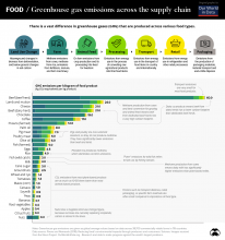 Carbon footprint food supply chain