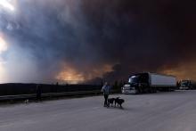 People take their dogs out for a quick break under billowing wildfire smoke off Highway 97 north of Buckinghorse River, BC on Friday, May 30, 2025. File photo by The Canadian Press/Nasuna Stuart-Ulin
