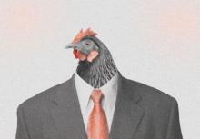 Chicken in a business suit - (Image: Farming Pathogens)