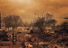 The aftermath of the White Rock Lake wildfire in B.C. in 2021. (Photograph by Darryl Dyck/CP Images.)