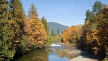 The Cowichan River will start being fed by pumped water from Cowichan Lake on Thursday. (Danita Delmont/Shutterstock)
