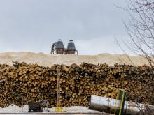 Thousands of logs and mountains of wood chips await conversion to wood pellets at the Drax pellet mill at Houston in north-central BC. Photo via Stand.earth.