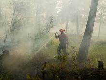 The BC Wildfire Service faces challenges in hiring and retaining firefighters. Photo from BC Wildfire Service.