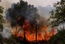 A forest fire burns, destroying dozens of acres of land in the province of Sassari on September 17, 2022, in Berchidda, Sassari, Italy. (Emanuele Perrone / Getty Images)