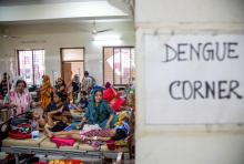 In a children’s ward for dengue in Bangladesh’s capital, patients are squeezed two to a bed as cases rise well after the usual season for the potentially deadly mosquito-borne virus. Photo by: Getty Images/Vox
