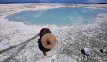 A woman uses a fork to dig for shellfish on the reef-mud flats of a lagoon in the central Pacific island nation of Kiribati on May 23, 2013