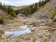A section of the Kiskatinaw River running dry just upstream of the old Highway 97 trestle bridge between Fort St. John and Dawson Creek. Photo for The Tyee by Don Hoffmann.