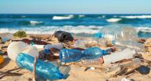 The International Union for the Conservation of Nature reports that “at least eight million tons of plastic end up in our oceans every year," negatively affecting all marine species. A huge culprit is the bottled water industry. Photo by Shutterstock