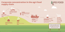photo: Graphic from the International Panel of Expert on Sustainable Food System (IPES-Food).
