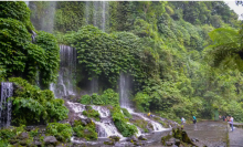 Forests, such as this one in Indonesia, do lmore than just store carbon. Photograph: Xinhua/Rex/Shutterstock