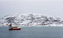 Data shows the North Barents Sea is the fastest warming place known on Earth. Photograph: Alister Doyle/Reuters