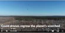 Drones Replanting Burned Forests?