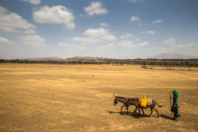 Two children walk across the land in Ethiopia to get water during the drought. Photo by UNICEF Ethiopia / Flickr (CC BY-NC-ND-2.0)
