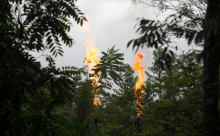 Gas flares from a refinery are seen in the Waorani Community of Bameno, Ecuador, on July 28, 2023. (Photo: Galo Paguay/AFP via Getty Images)