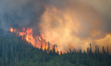 Flames reach upwards along the edge of a wildfire near Mistissini, Quebec, Canada, on 12 June 2023. Photograph: Canadian Forces/Reuters