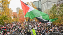 A man waves a Palestinian flag during a pro-Palestinian rally in Montreal on Nov. 12. Protests like this have been taking place across Canada for more than two months. (Graham Hughes/The Canadian Press)