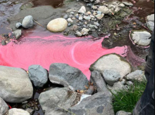  Pink goo: BC needs to clean up its act when it comes to hazardous spill response in the province, a report by the auditor general has found. Photo via Environmental Emergency Program.