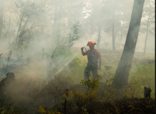 The province isn’t doing enough to reduce the threat of wildfire by protecting ecosystems, say some experts. Photo by Ben Westerik via BC Wildfire Service.