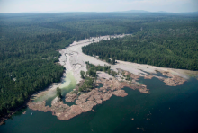 Imperial Metals has been charged under the federal Fisheries Act more than 10 years after a tailings storage facility failure at its Mount Polley mine in B.C. sent 25 billion litres of toxic sludge into Polley Lake, Hazeltine Creek and Quesnel Lake. Photo: Jonathan Hayward / The Canadian Press