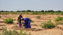 planting in arid land - Guo Jun / Xinhua / Getty Images