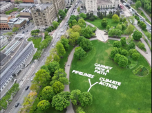 Pick a Path installation - Common Horizon