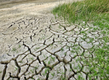 Dry cracked earth